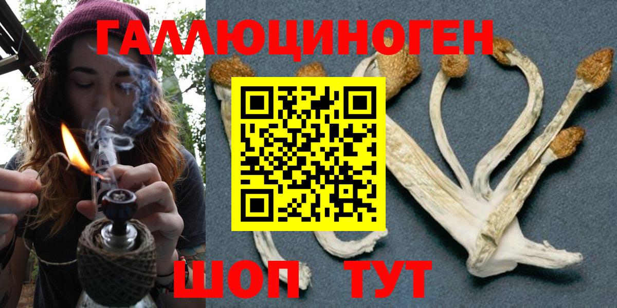 Псилоцибиновые грибы Psilocybe  Вход с VPN  что такое   Стерлитамак 