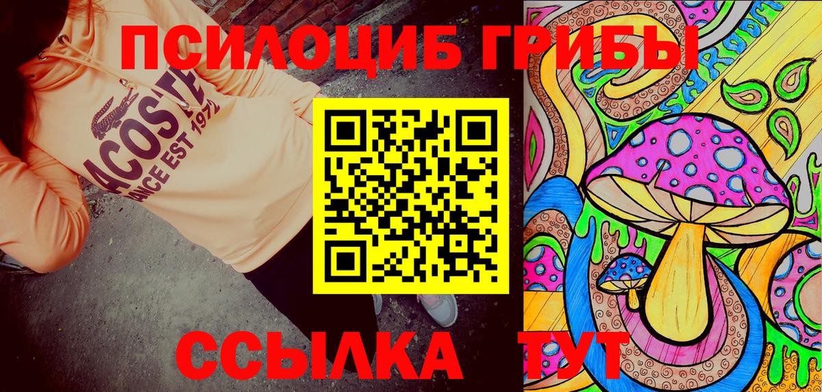 Галлюциногенные грибы Psilocybe Стерлитамак